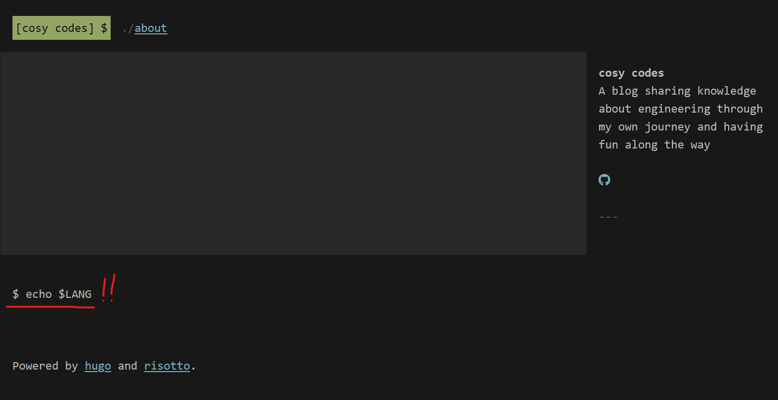 screenshot of initial Cosy Codes website